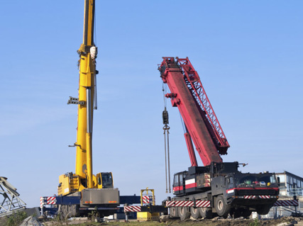 Crane