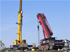 Crane