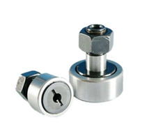 Roller bolt bearing