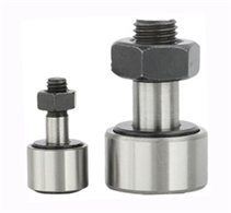 Roller bolt bearing