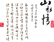 fei-txt.png